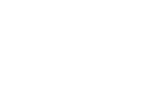 07 Environment REV 300px.png