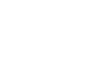 02 Disease REV 300px.png