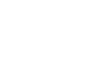 06 Economic REV 300px.png