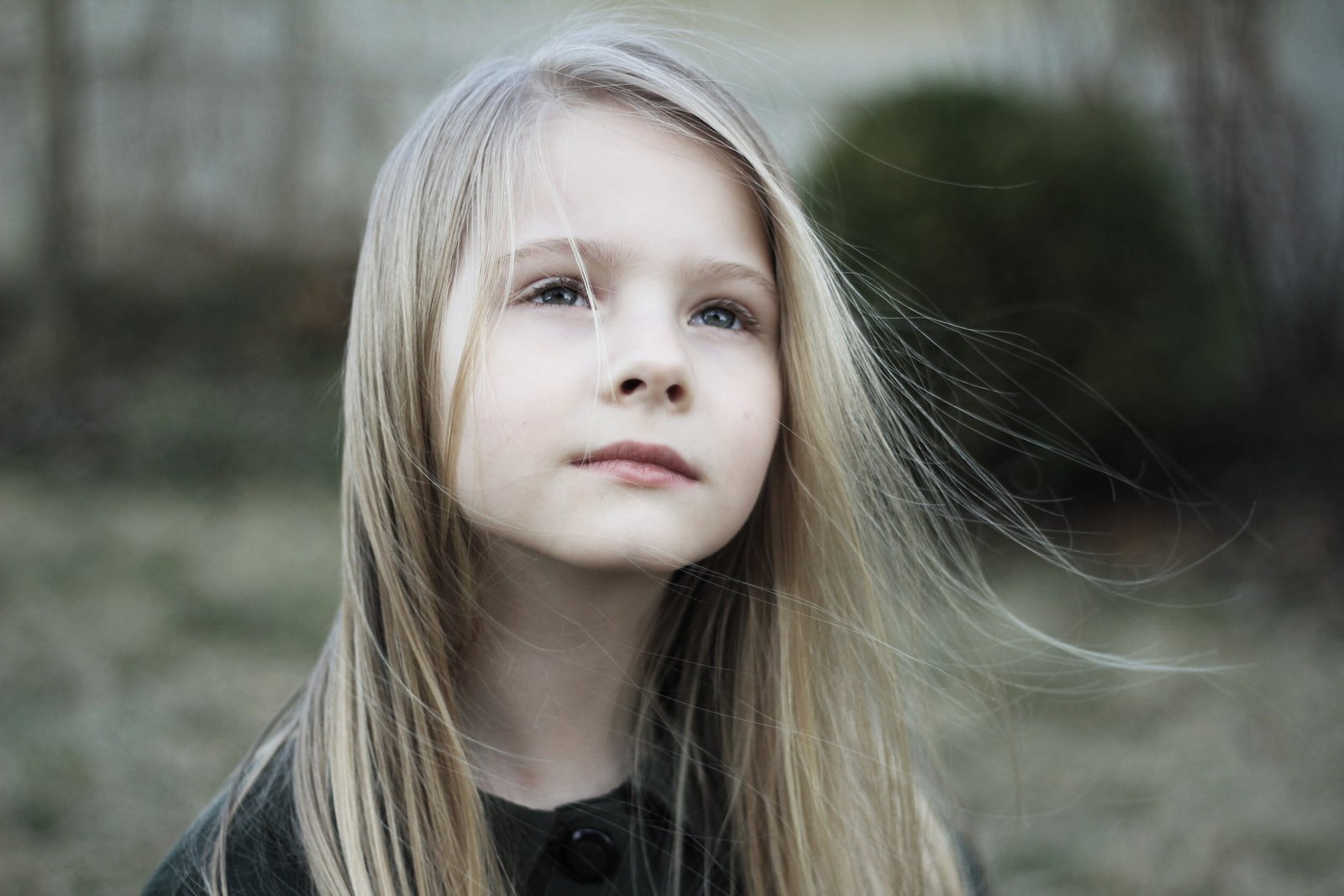 Putting an end to domestic violence